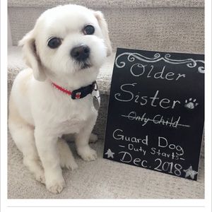 Meet your Posher, Brea